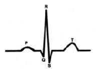 vorob10.tif