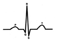 vorob1.tif