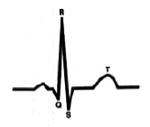 vorob6.tif