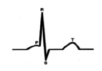 vorob9.tif