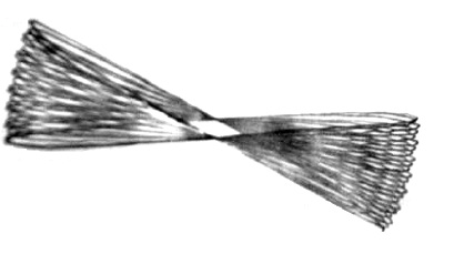 101736.jpg