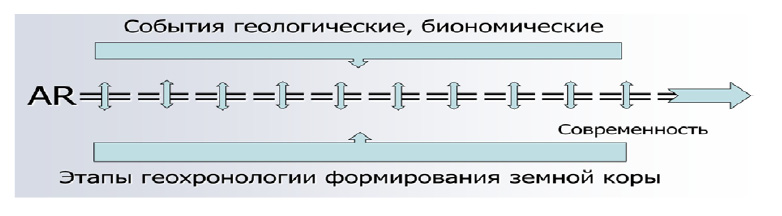 110360.jpg