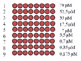 poveh1a.tif