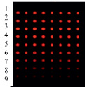 poveh1b.tif