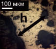 mih1b.tif