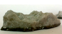 dosm5b.tif