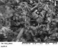 mold1.tif