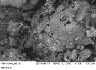 mold2.tif