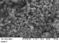 mold3.tif