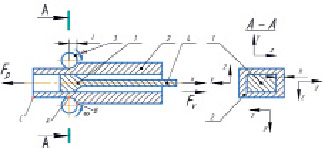 trif1.tif