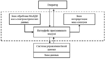 Структура ао почта россии схема