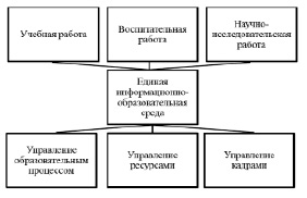 Факультативы в учебном плане вуза