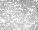 kram10a.tif