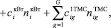 vivch11b.wmf