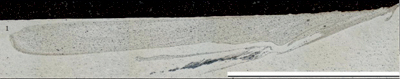 missing image file
