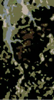 missing image file